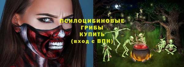 дживик Балахна