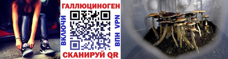 дарк нет как зайти  Пойковский  Псилоцибиновые грибы ЛСД  цены наркотик 