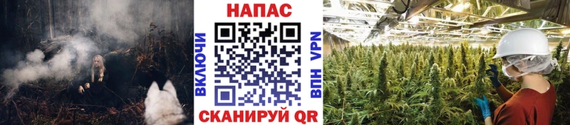 Бошки Шишки тримм  ОМГ ОМГ ТОР  Пойковский  даркнет сайт 
